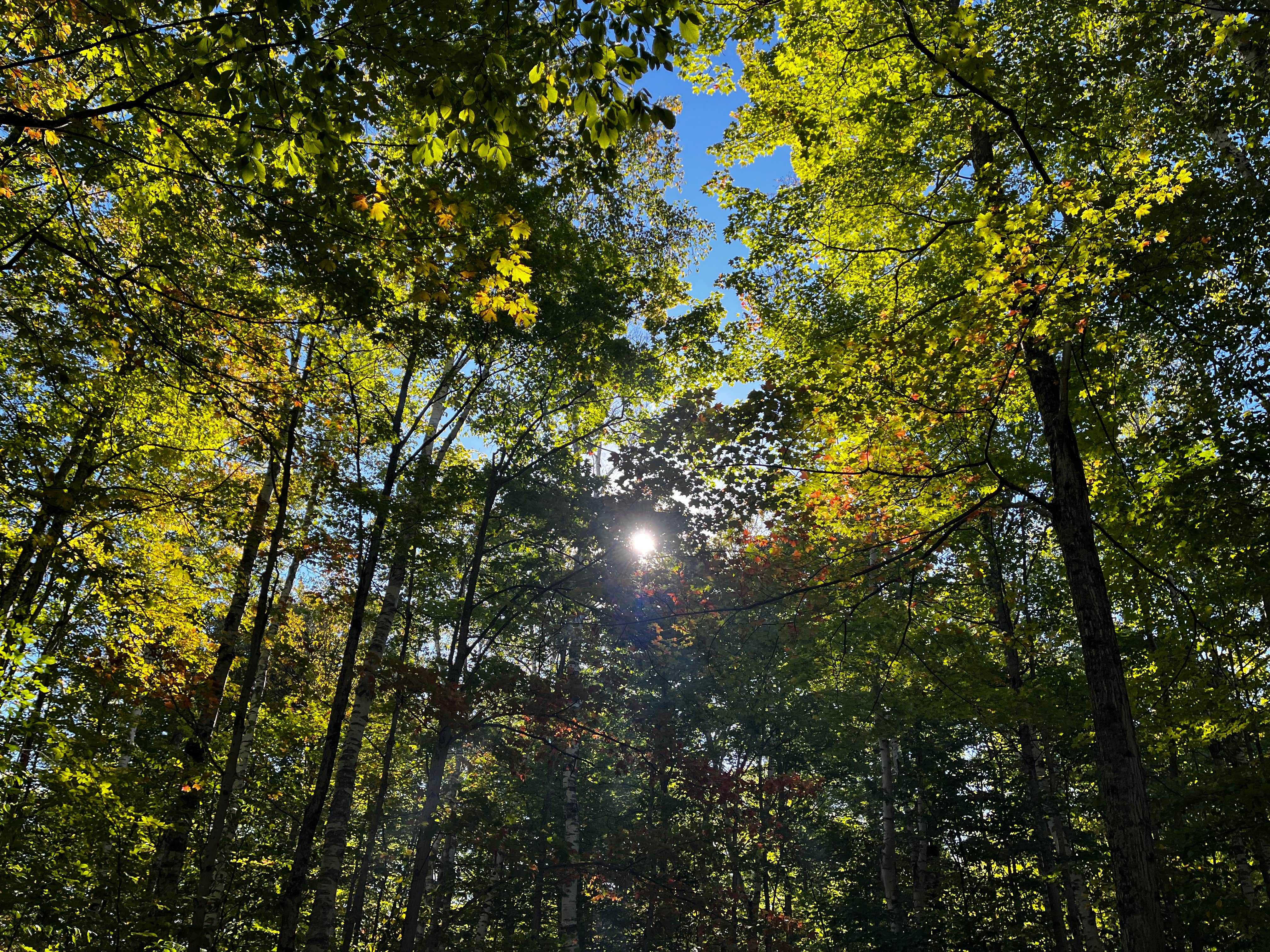 Camper submitted image from Washington Island Campground - 1