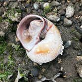 Review photo of Jarrell Cove State Park Campground by june G., June 28, 2026