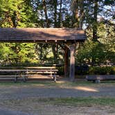 Review photo of Jarrell Cove State Park Campground by Nicole L., July 8, 2024