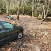 Review photo of Washington & Jefferson National Forest Dispersed Sites by Josh G., January 5, 2026