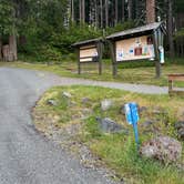 Review photo of Joemma Beach State Park Campground by Rebecca V., June 2, 2024