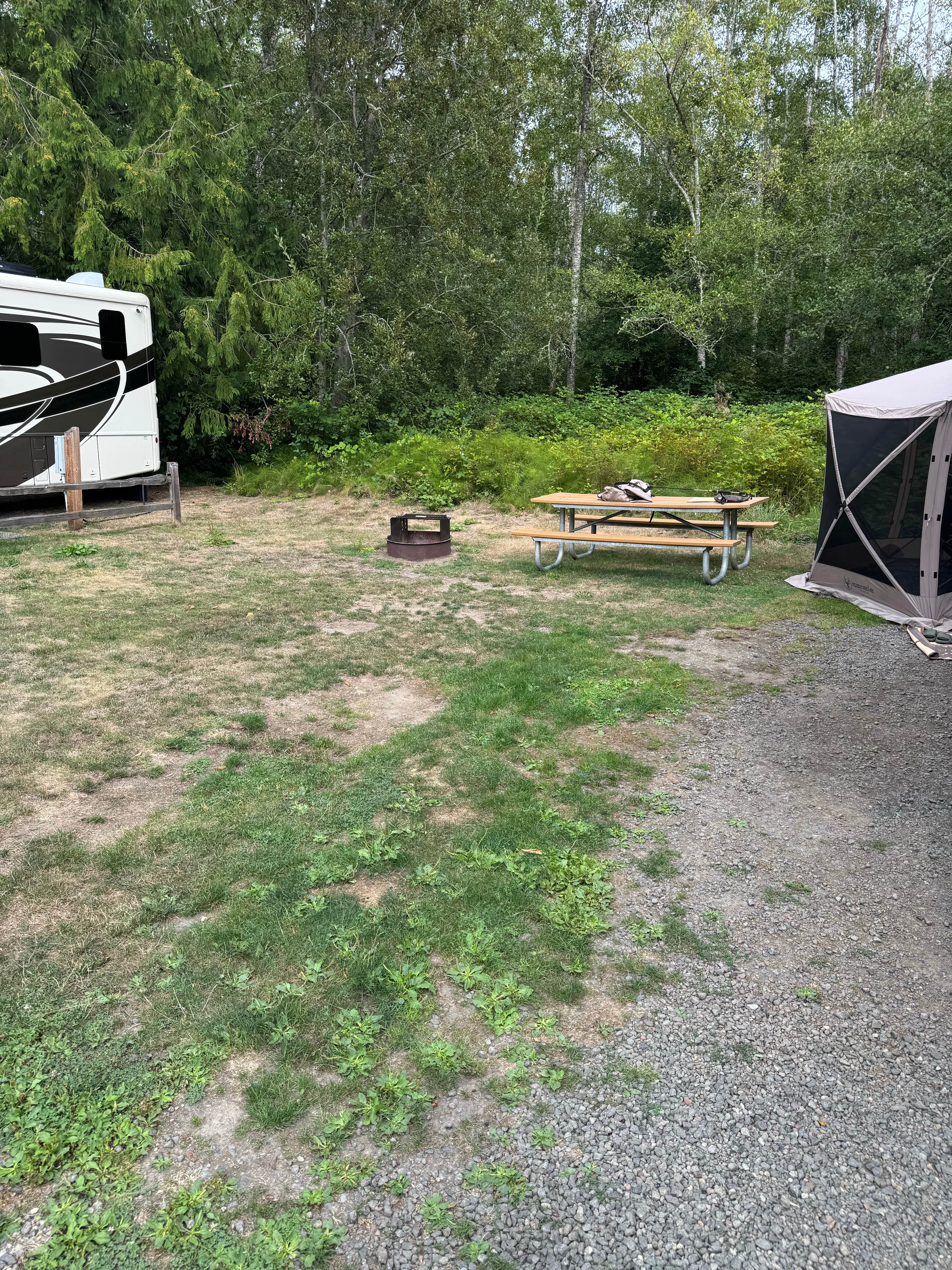 Camper-submitted photo at Kitsap Memorial State Park Campground near Port Ludlow, WA