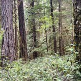 Review photo of La Wis Wis Campground by Lainey P., August 16, 2026