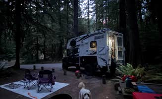Vanessa C.'s photo at La Wis Wis Campground near Longmire, WA