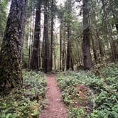 Review photo of La Wis Wis Campground by Lainey P., August 16, 2026
