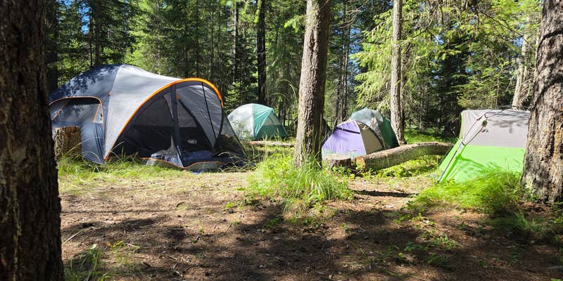 Camper submitted image from Lake Gillette Campground