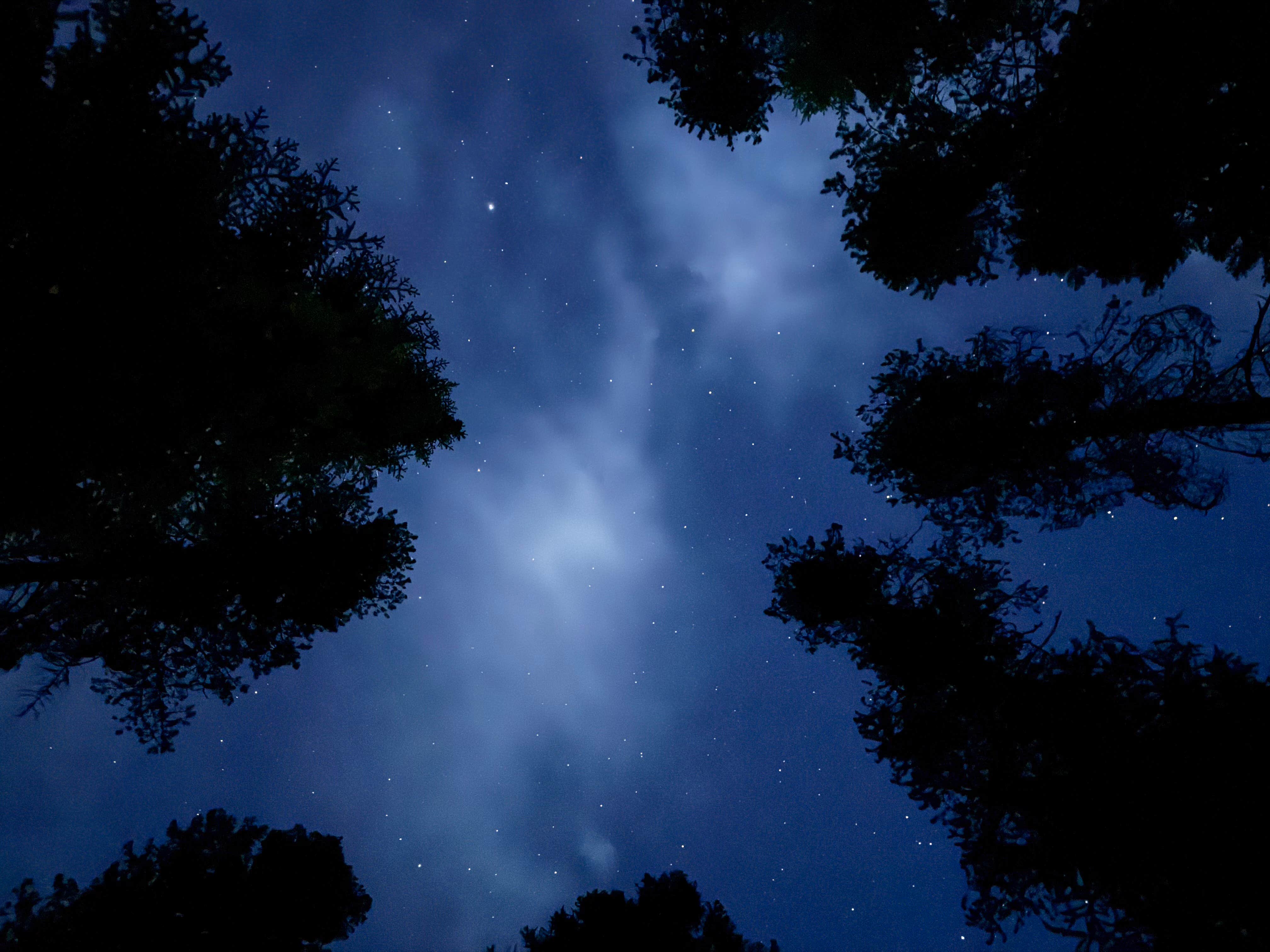 Camper-submitted photo at Lake Gillette Campground near Ione, WA