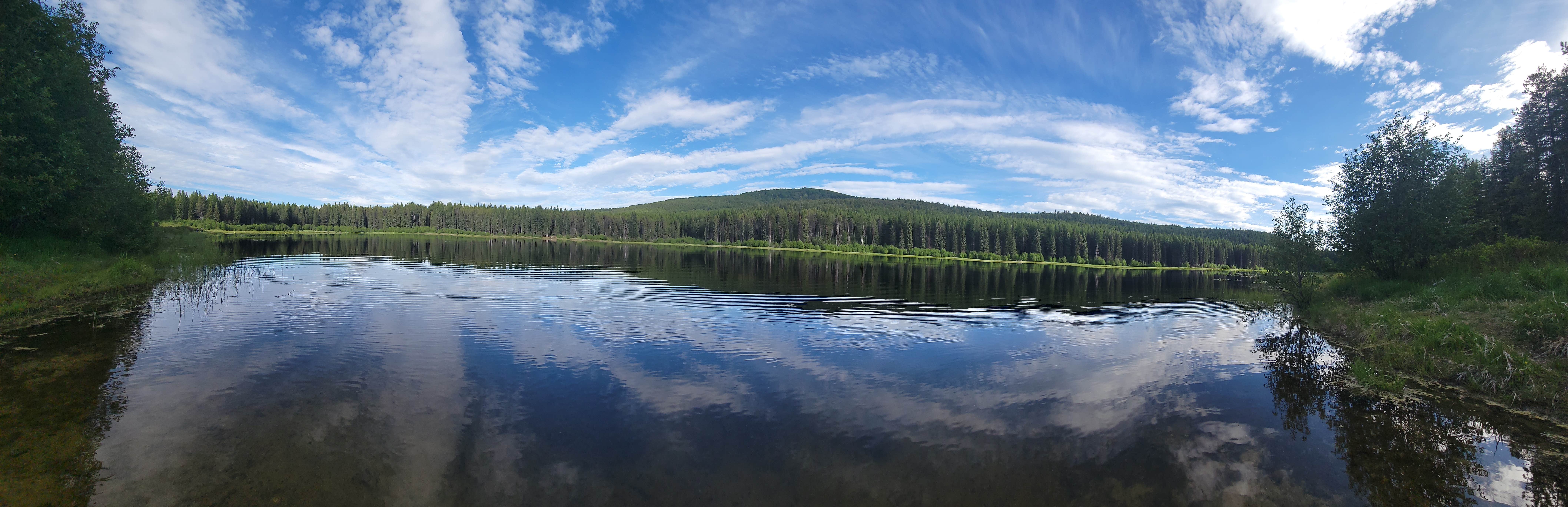 Camper submitted image from Lake Leo Campground - 1