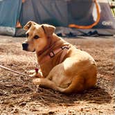 Review photo of Lake Wenatchee State Park Campground by Alen C., June 5, 2024