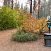 Review photo of Lake Wenatchee State Park Campground by Meghan B., September 26, 2025