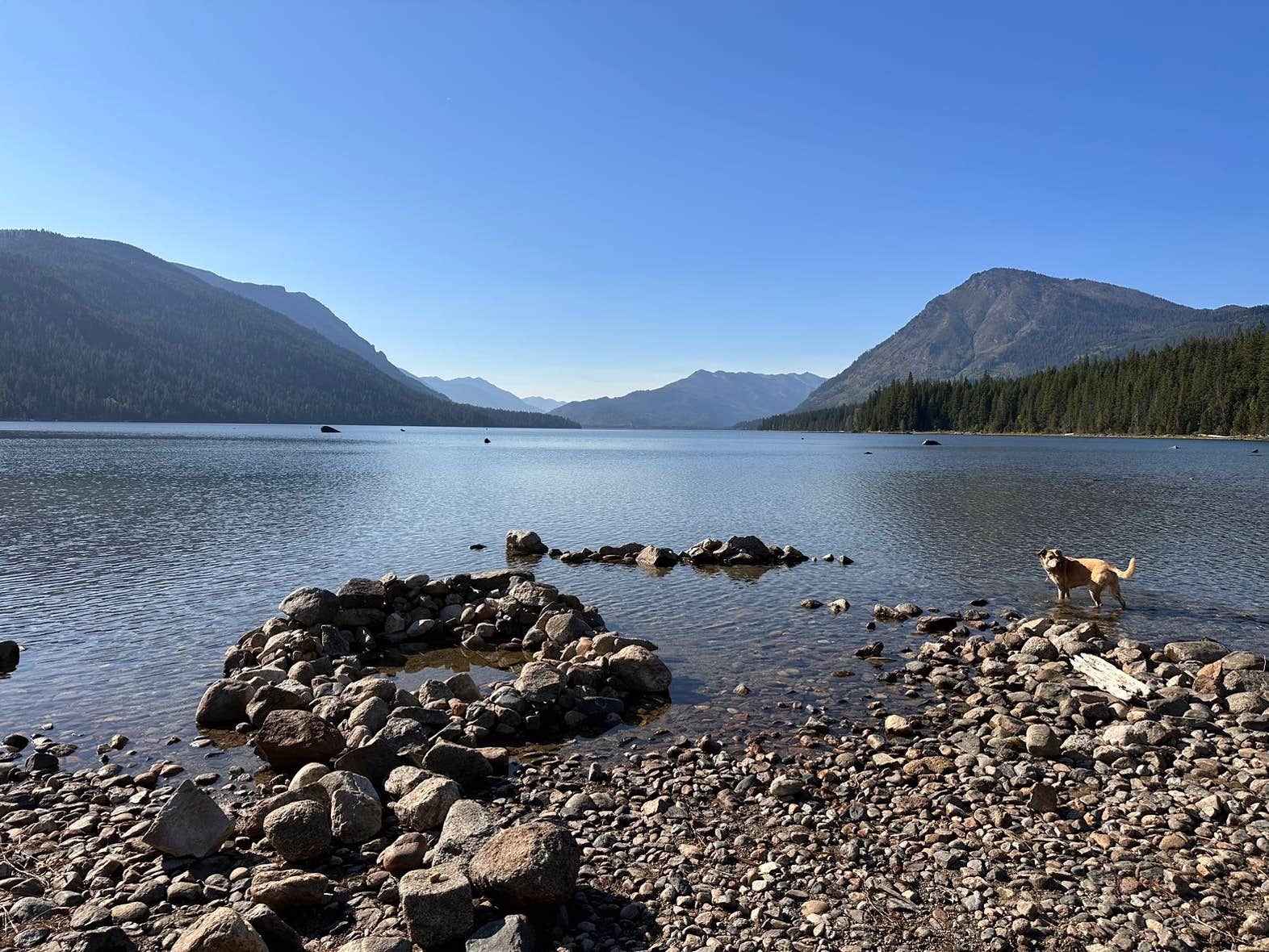 Alen C.'s photo of camping with pets at Lake Wenatchee State Park Campground in Washington