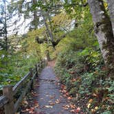 Review photo of Larrabee State Park Campground by Evergreen Adventures P., December 7, 2023