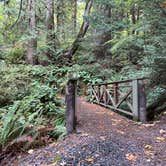 Review photo of Larrabee State Park Campground by Evergreen Adventures P., December 7, 2023