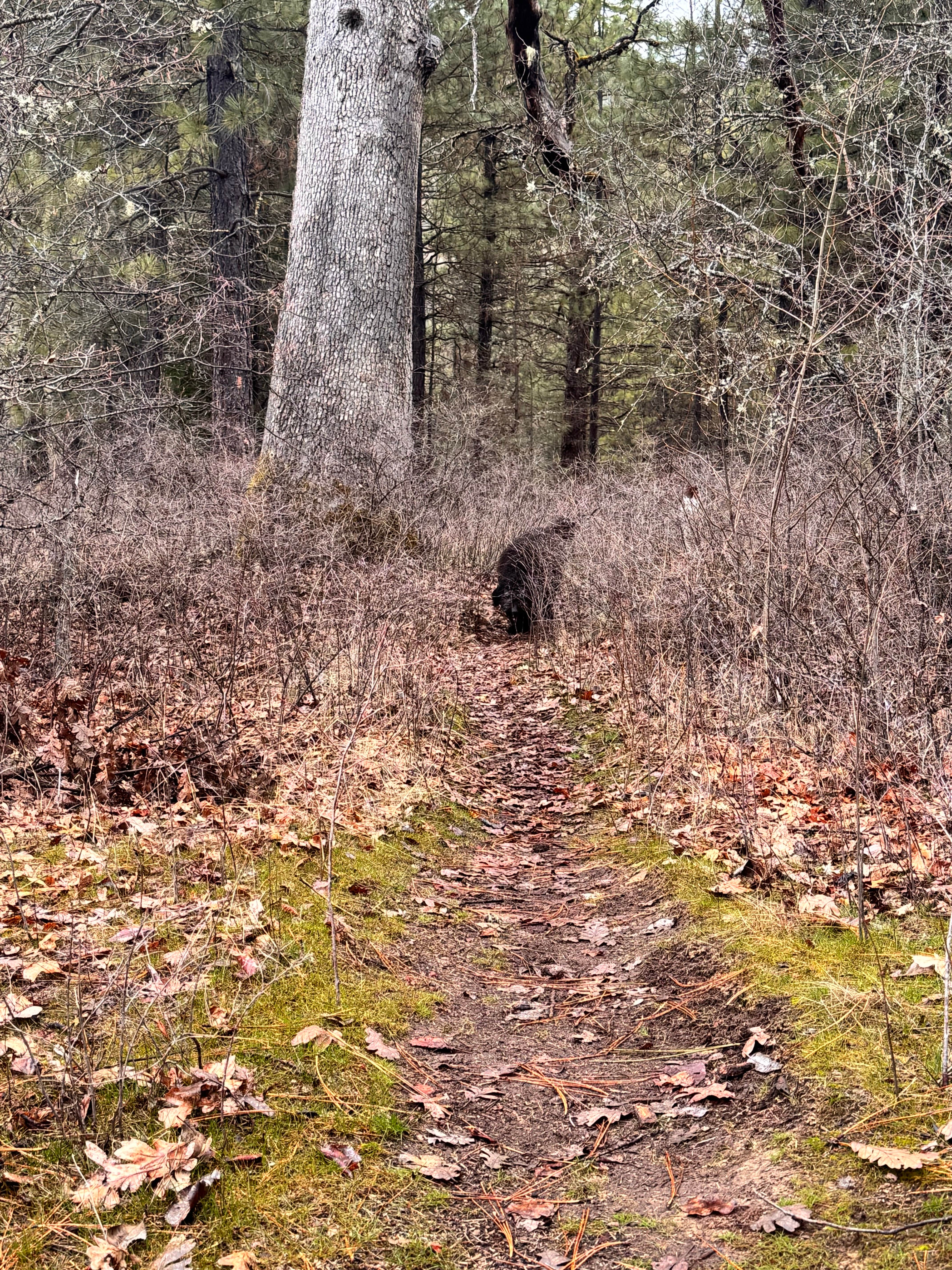 Camper submitted image from Leidl South Campground - 5