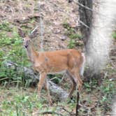 Review photo of Liberty Lake Regional Park by Joel R., October 30, 2023