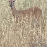 Review photo of Liberty Lake Regional Park by Adam  B., August 1, 2025