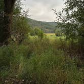 Review photo of Liberty Lake Regional Park by Lily H., September 11, 2023