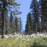 Review photo of Liberty Lake Regional Park by Joel R., June 26, 2026