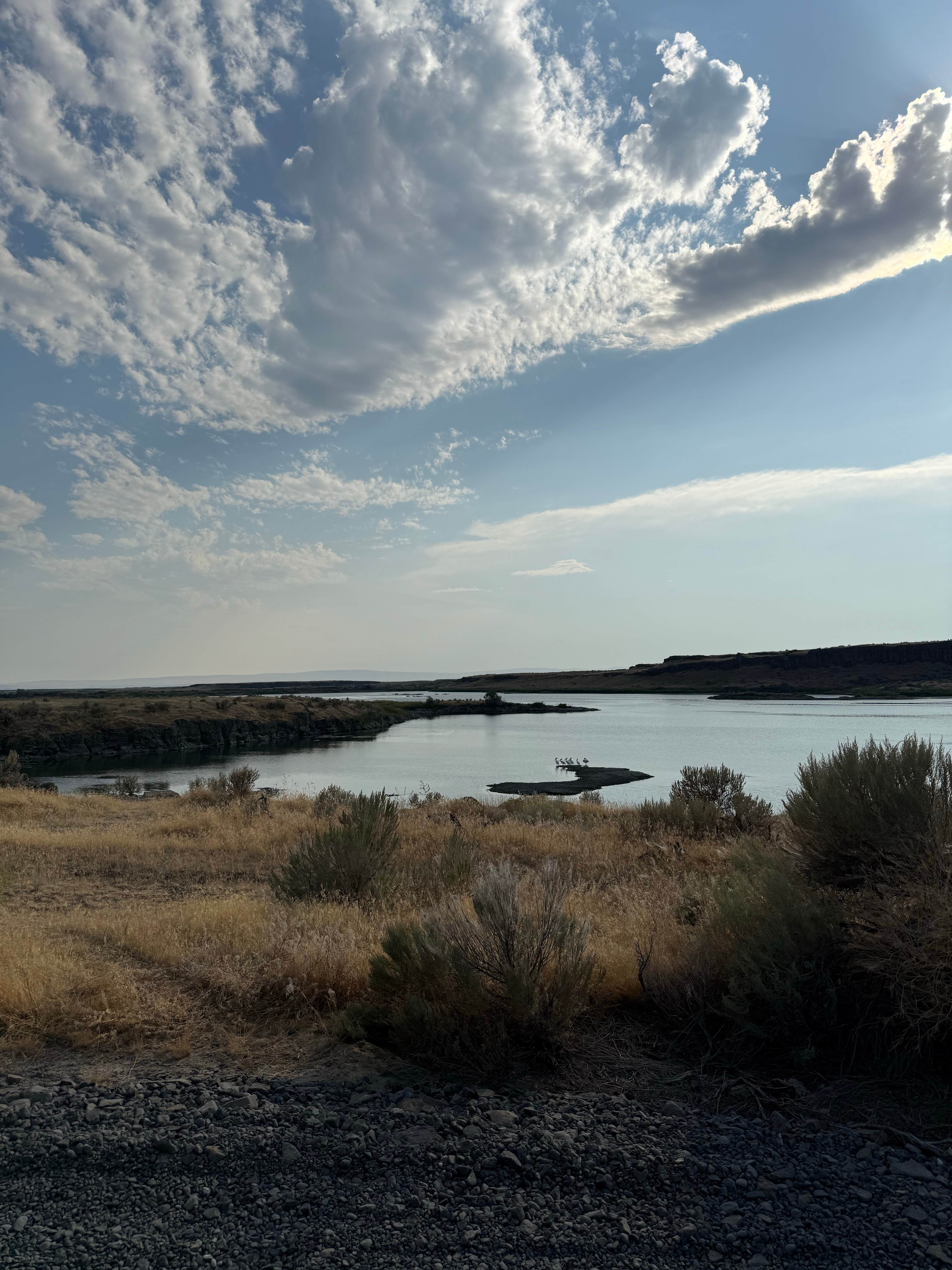 Alex R.'s photo of a dispersed camping area at Long Lake near Ritzville, WA