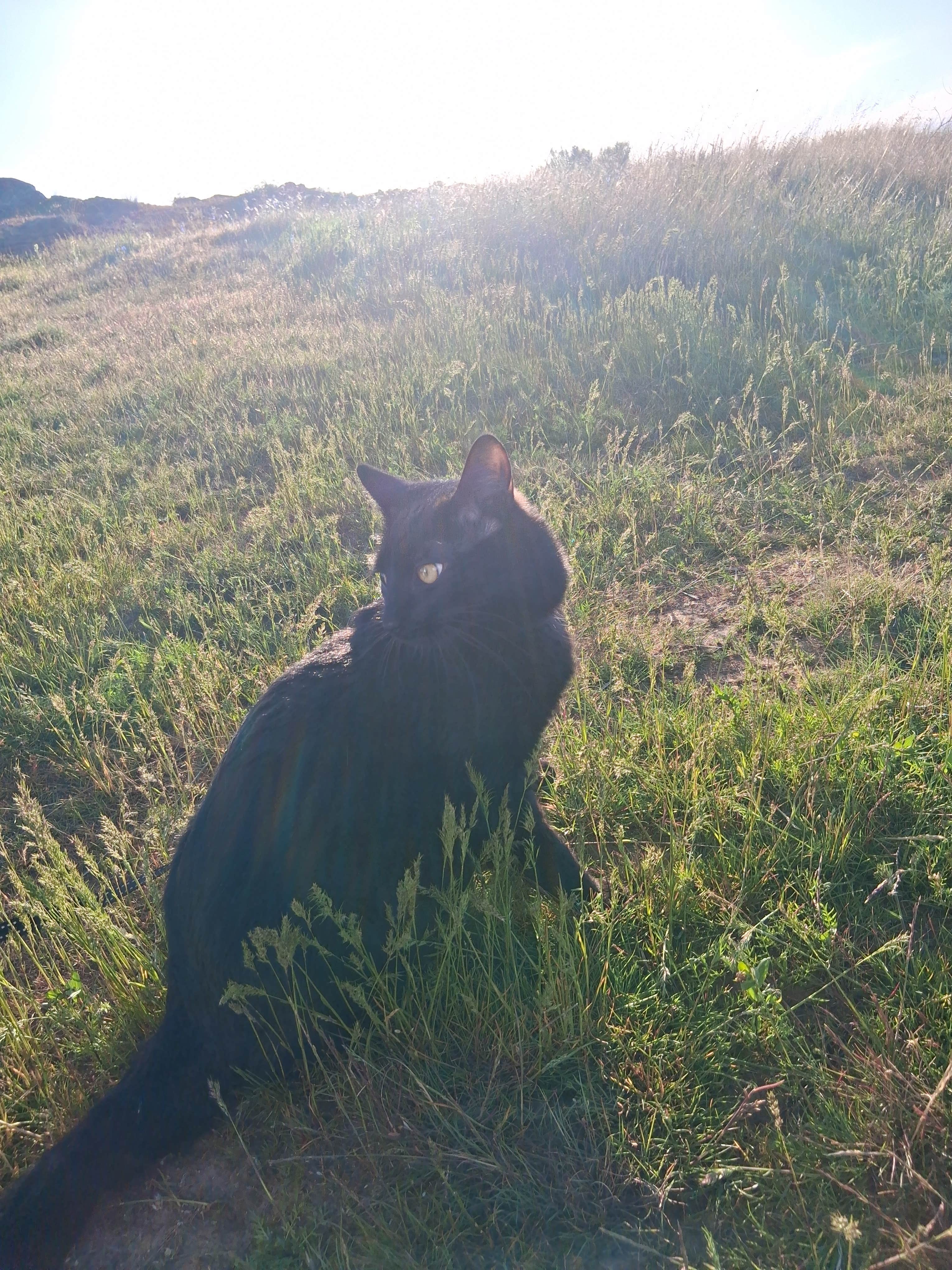 Camper-submitted photo at Long Lake near Pasco, WA