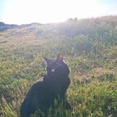Review photo of Long Lake by Beamus R., April 20, 2025