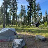 Review photo of Loup Loup Campground by Andrew , June 18, 2024