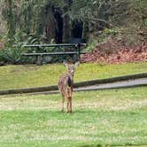 Review photo of Manchester State Park Campground by Eric P., January 11, 2025