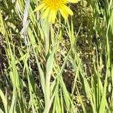 Review photo of Maryhill State Park Campground by Joel R., June 22, 2026
