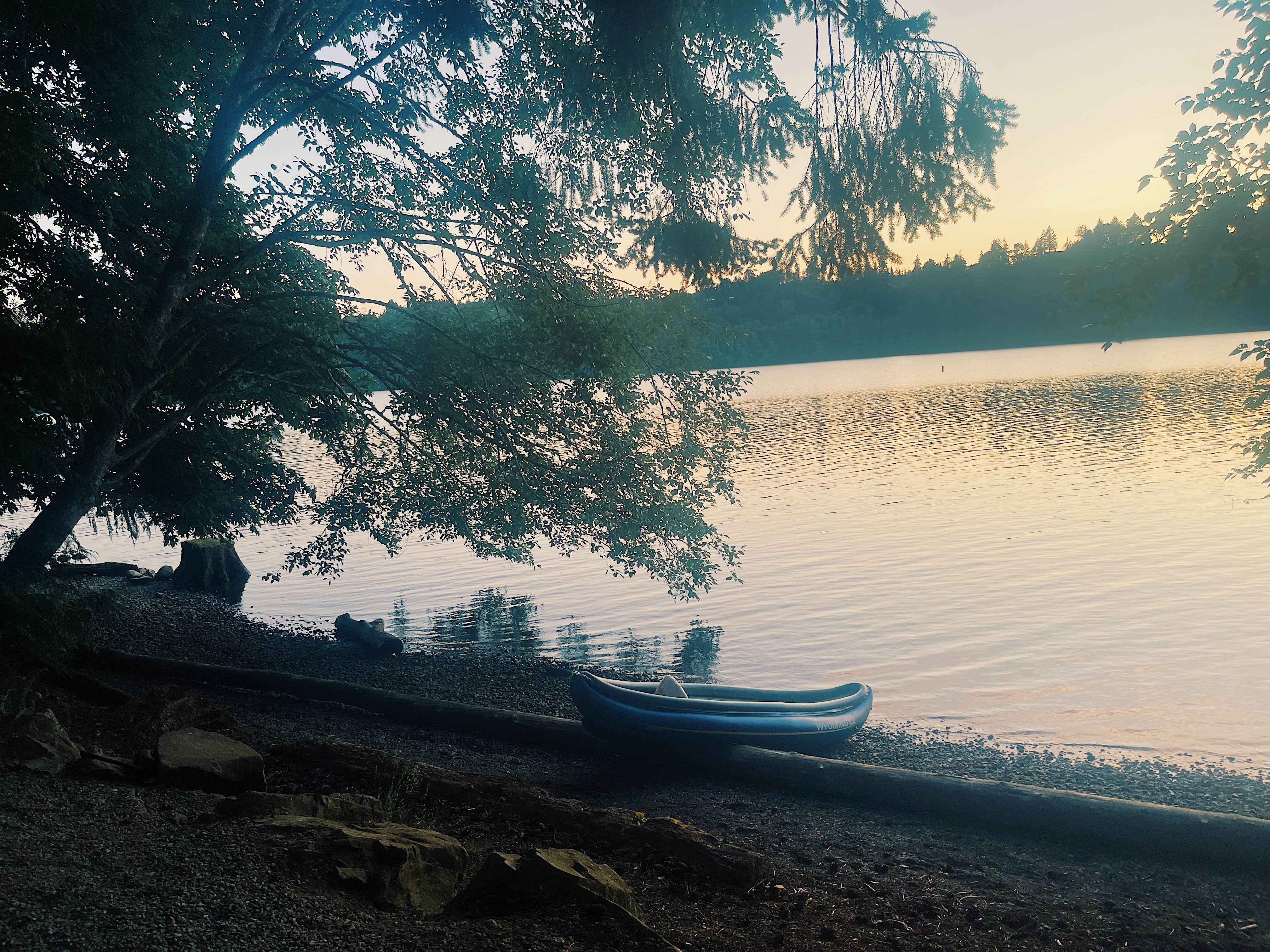 Camper submitted image from Mayfield Lake Park - 4