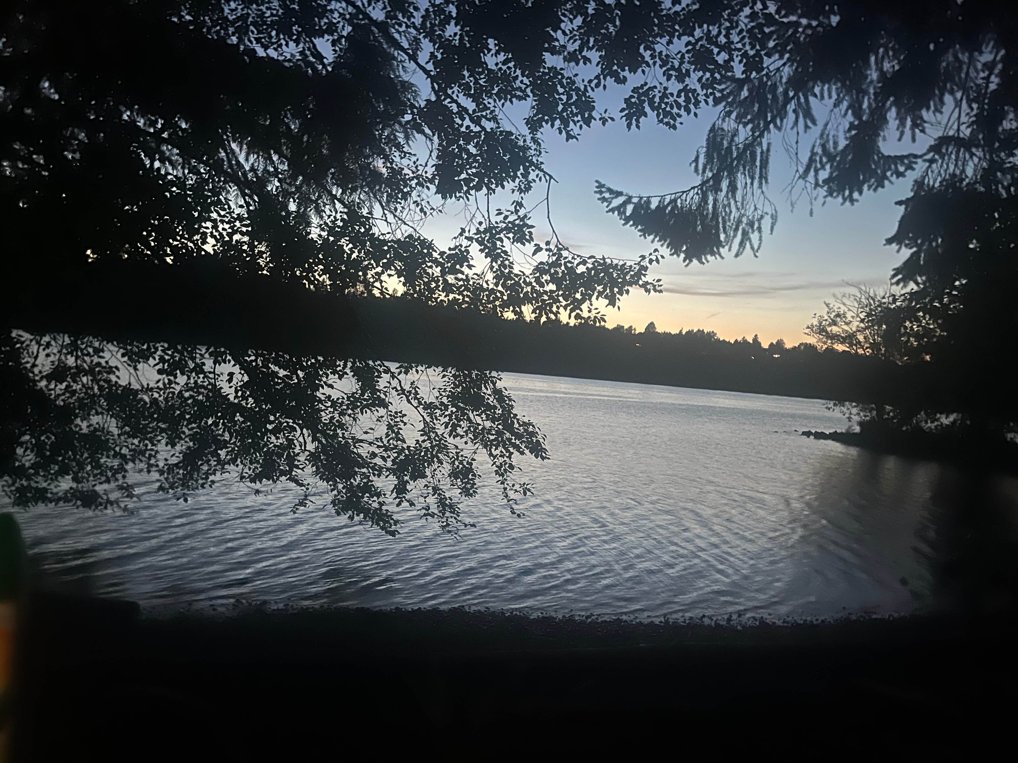 Camper-submitted photo at Mayfield Lake Park near Mossyrock, WA