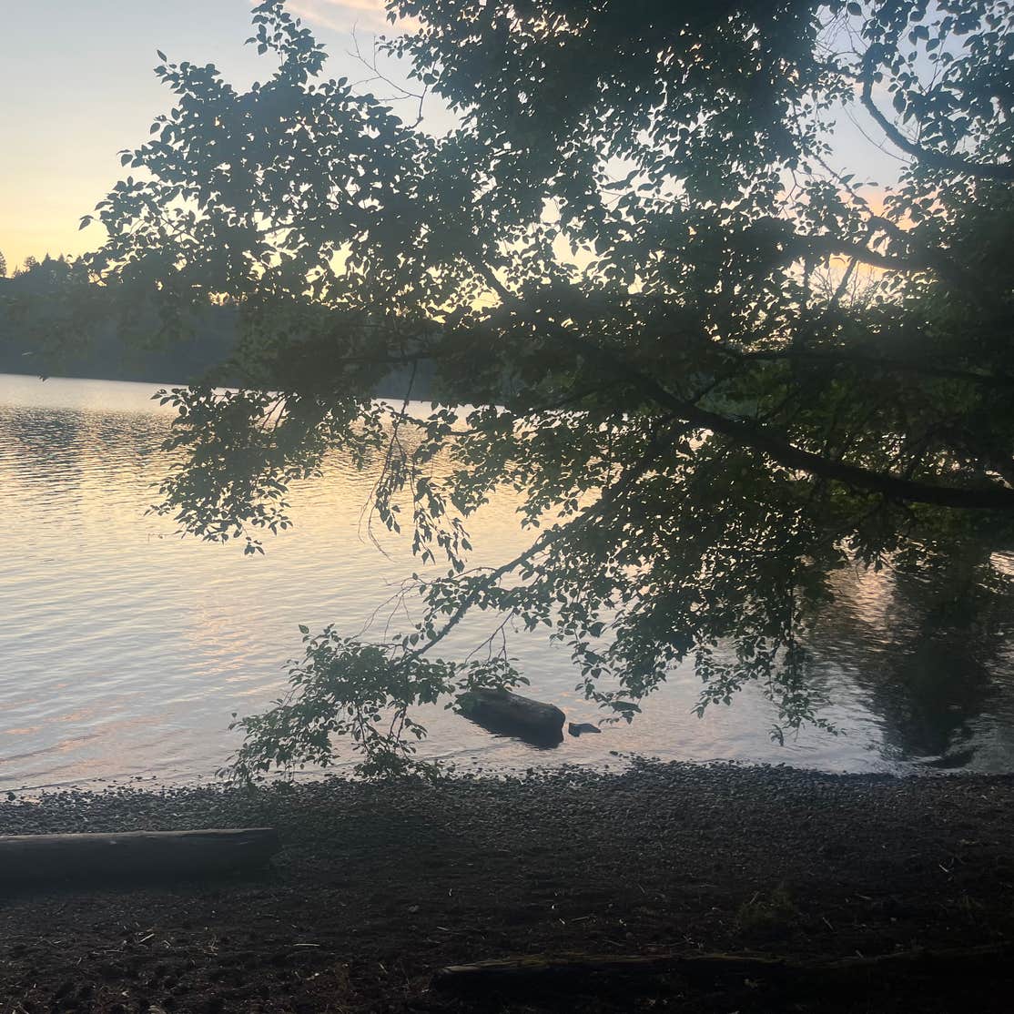 Mayfield Lake Park Camping Mossyrock, WA