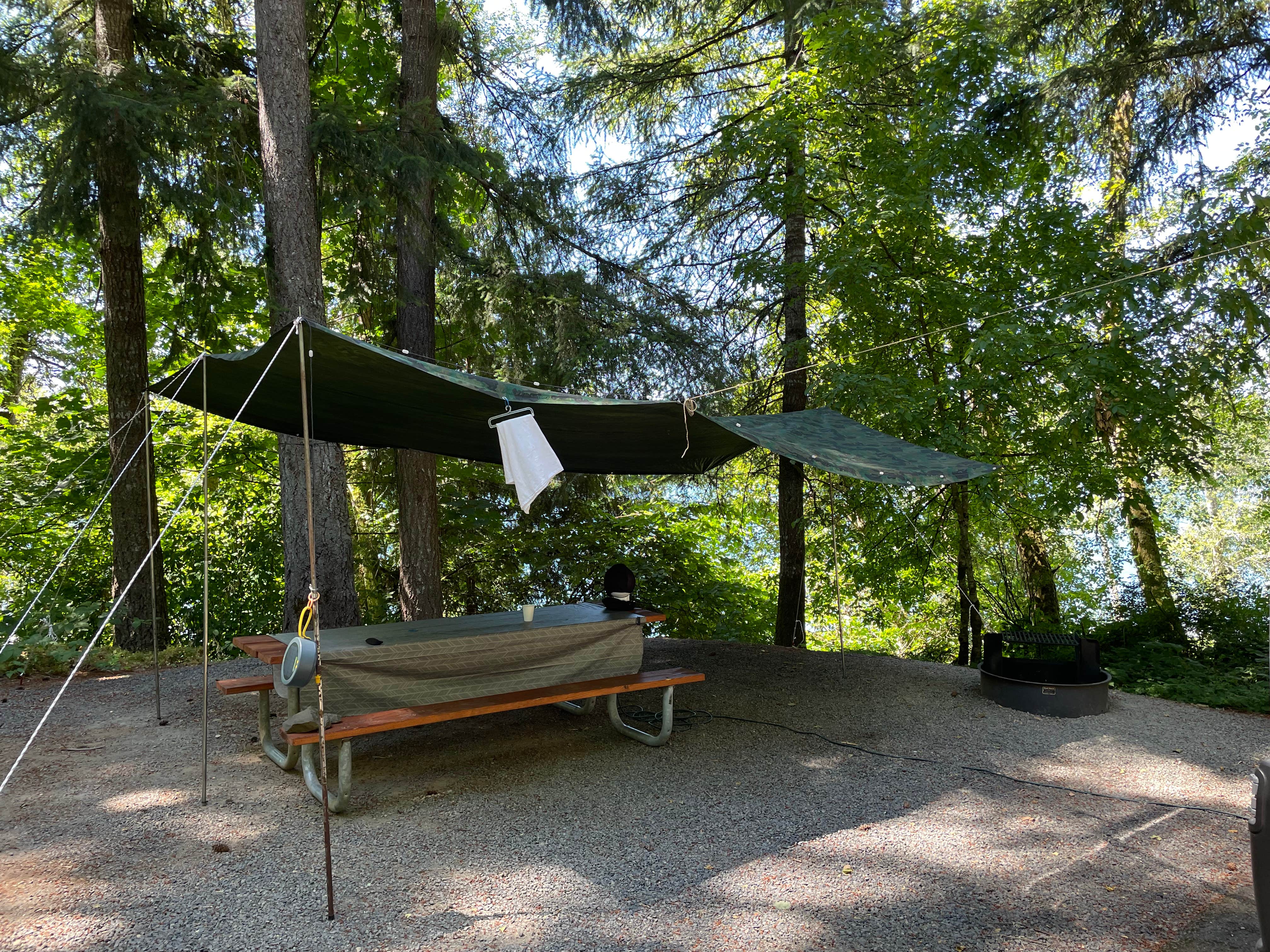 Camper-submitted photo at Mayfield Lake Park near Mossyrock, WA