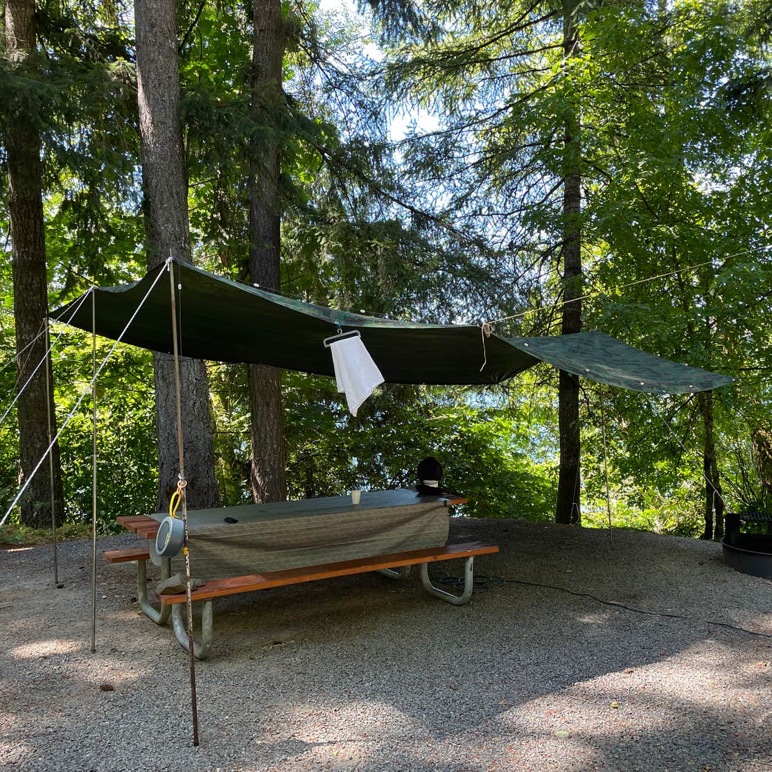 Mayfield Lake Park Camping Mossyrock, WA