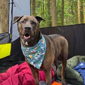 Review photo of Middle Fork Campground by Sam B., August 17, 2025