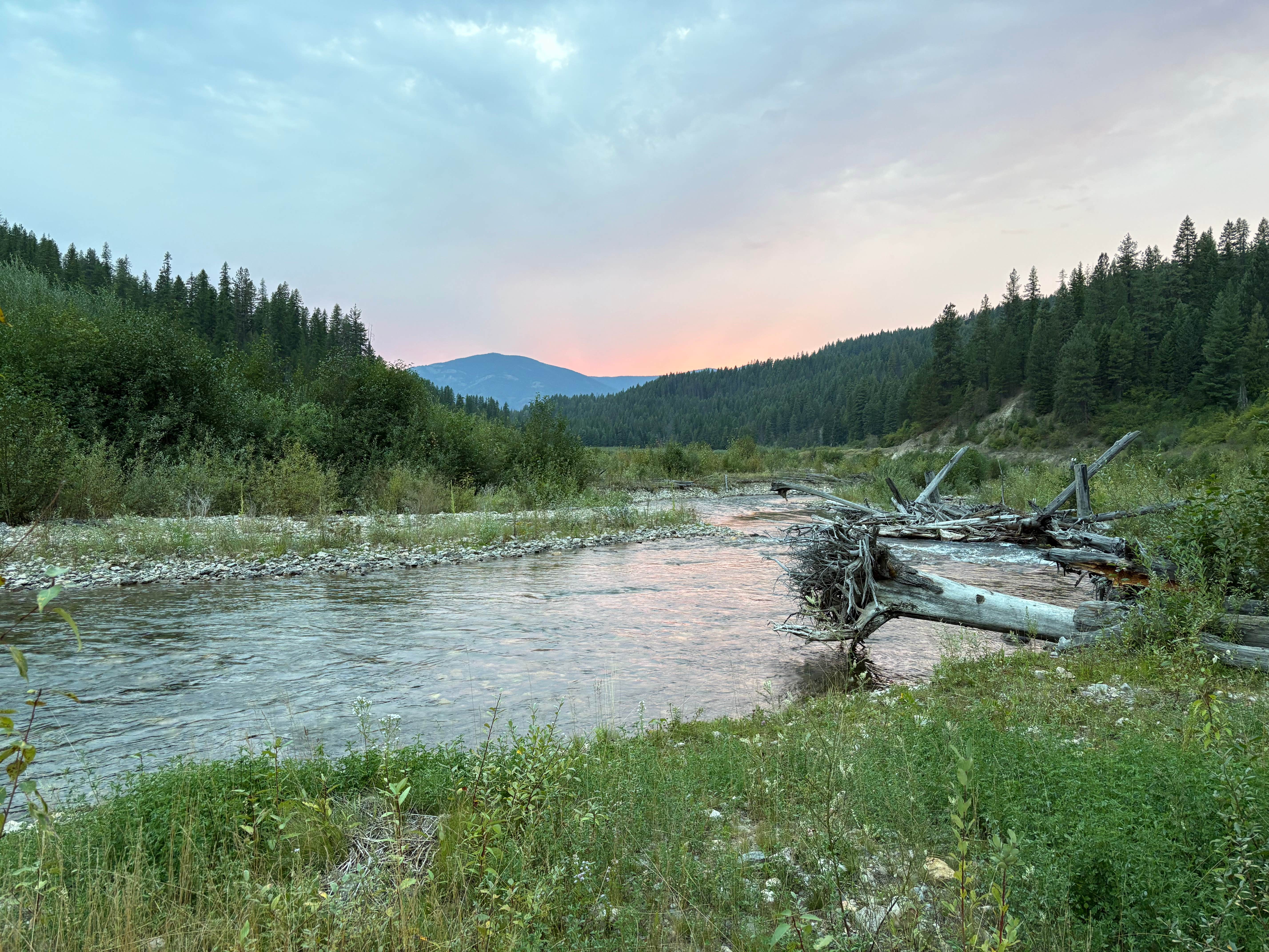 Camper-submitted photo at Mill Pond Campground near Northport, WA