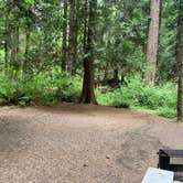 Review photo of Millersylvania State Park Campground by Anna P., June 25, 2025