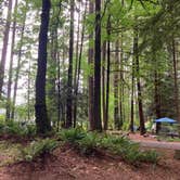 Review photo of Millersylvania State Park Campground by Anna P., June 25, 2025