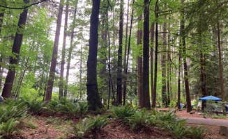 Anna P.'s photo at Millersylvania State Park Campground near Roy, WA