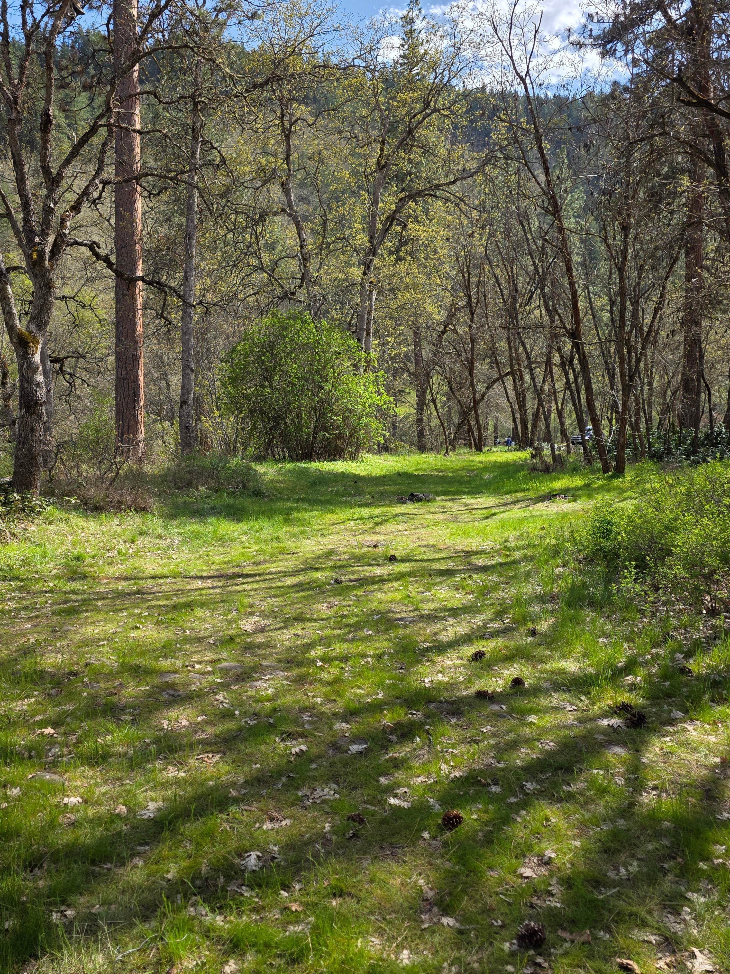 Jeff O.'s photo of camping with pets at Mineral Springs near John Day Lock and Dam, Lake Umatilla