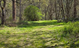 Jeff O.'s photo of camping with pets at Mineral Springs near The Dalles, OR