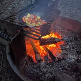 Review photo of Minnie Peterson Campground by Jewelianna H., March 10, 2026