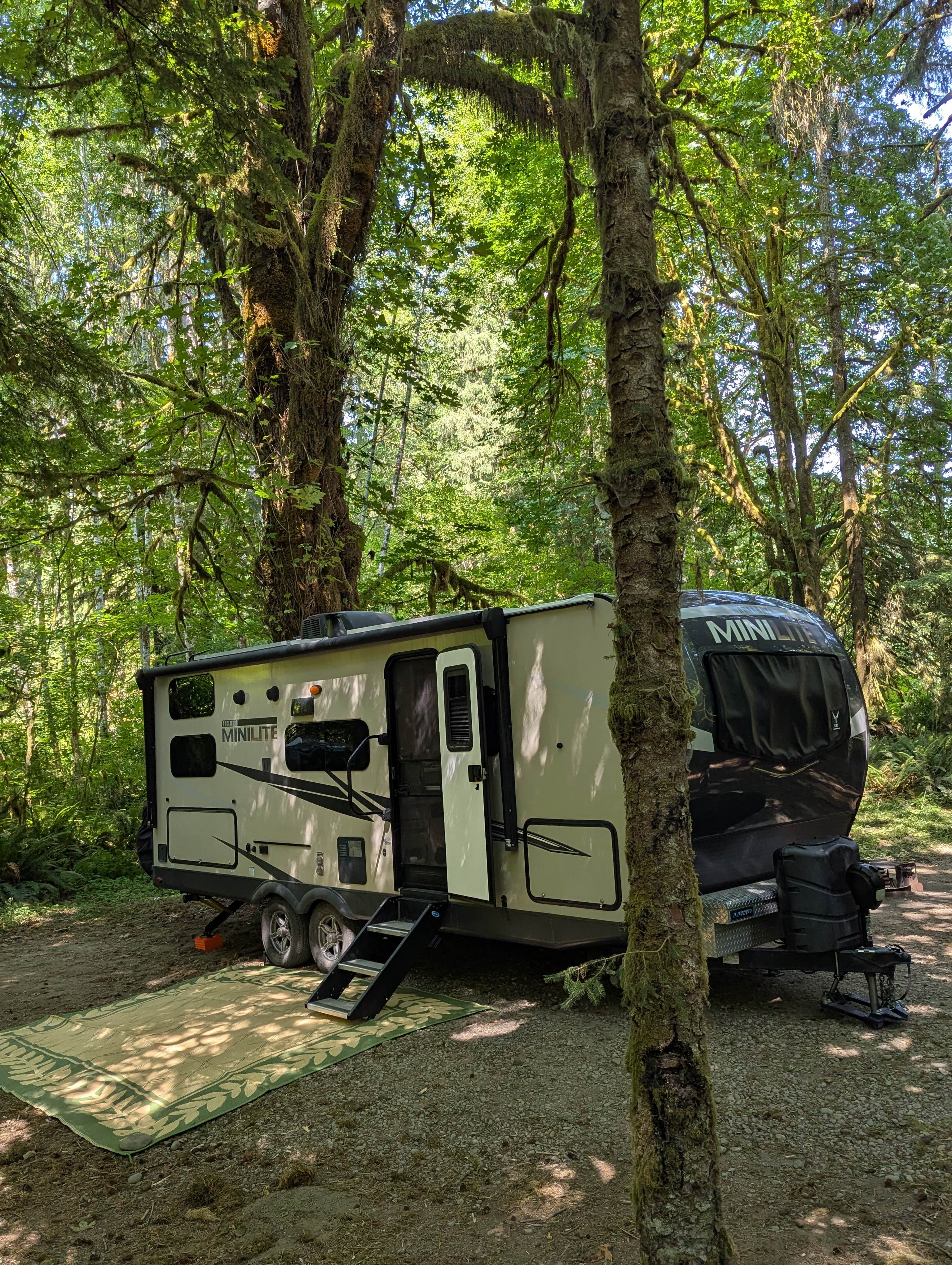 Camping near Upper Clearwater: Minnie Peterson Campground, Forks, Washington