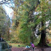 Review photo of Minnie Peterson Campground by Sophia S., October 17, 2024