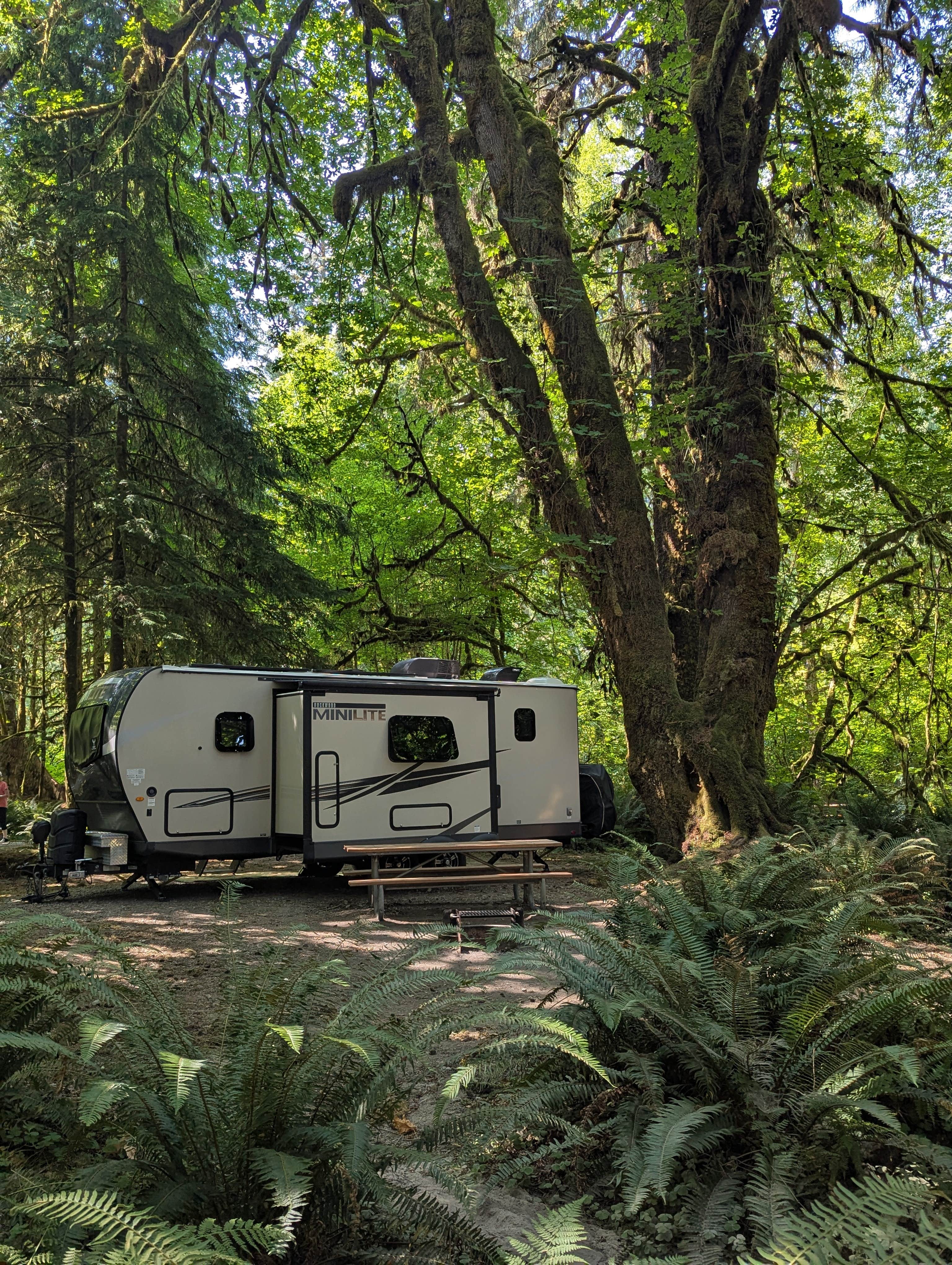 Lee L.'s photo of rv camping at Minnie Peterson Campground near Olympic National Park