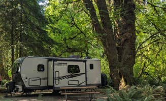 Lee L.'s photo at Minnie Peterson Campground in Washington