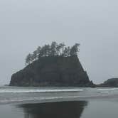 Review photo of Mora Campground — Olympic National Park by TheFoxphire F., September 23, 2025