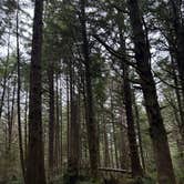 Review photo of Mora Campground — Olympic National Park by Bella H., March 27, 2024