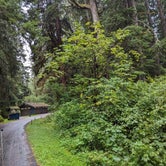Review photo of Mora Campground — Olympic National Park by Kristi D., September 27, 2023