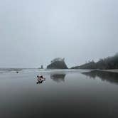 Review photo of Mora Campground — Olympic National Park by TheFoxphire F., September 23, 2025