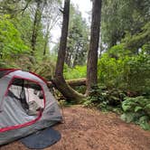 Review photo of Mora Campground — Olympic National Park by TheFoxphire F., September 23, 2025
